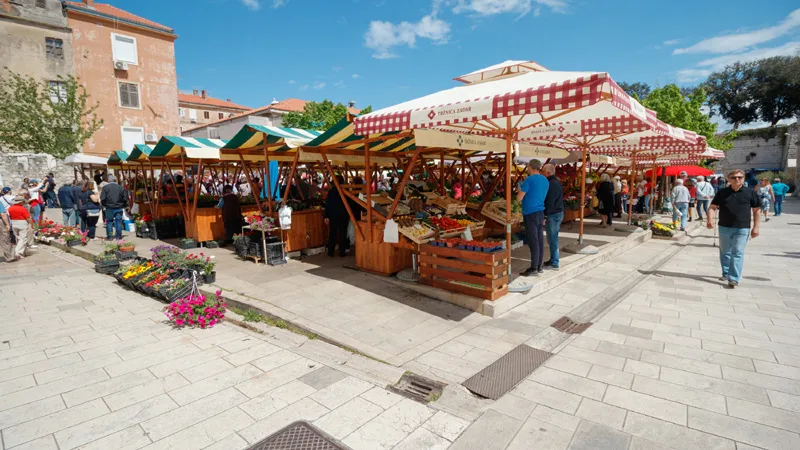 Cijene cvijeća rastu, a krizanteme lete s pijace: Zadrani već ukrašavaju grobove – i plaćaju sve više