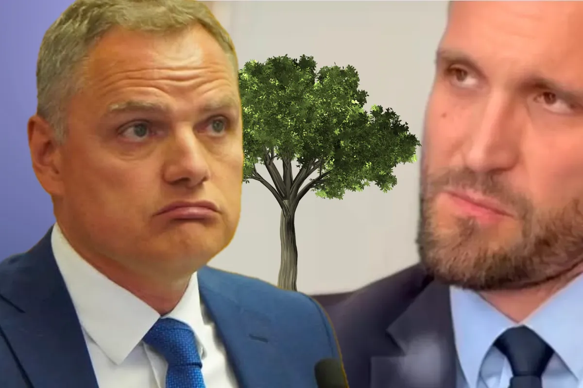 Erlić i Kasap tvrde da nijedno stablo neće pasti, a plan kaže suprotno – Čije oči pokušavaju zamazati TikTok gradonačelnik i "kuverta" pročelnik?