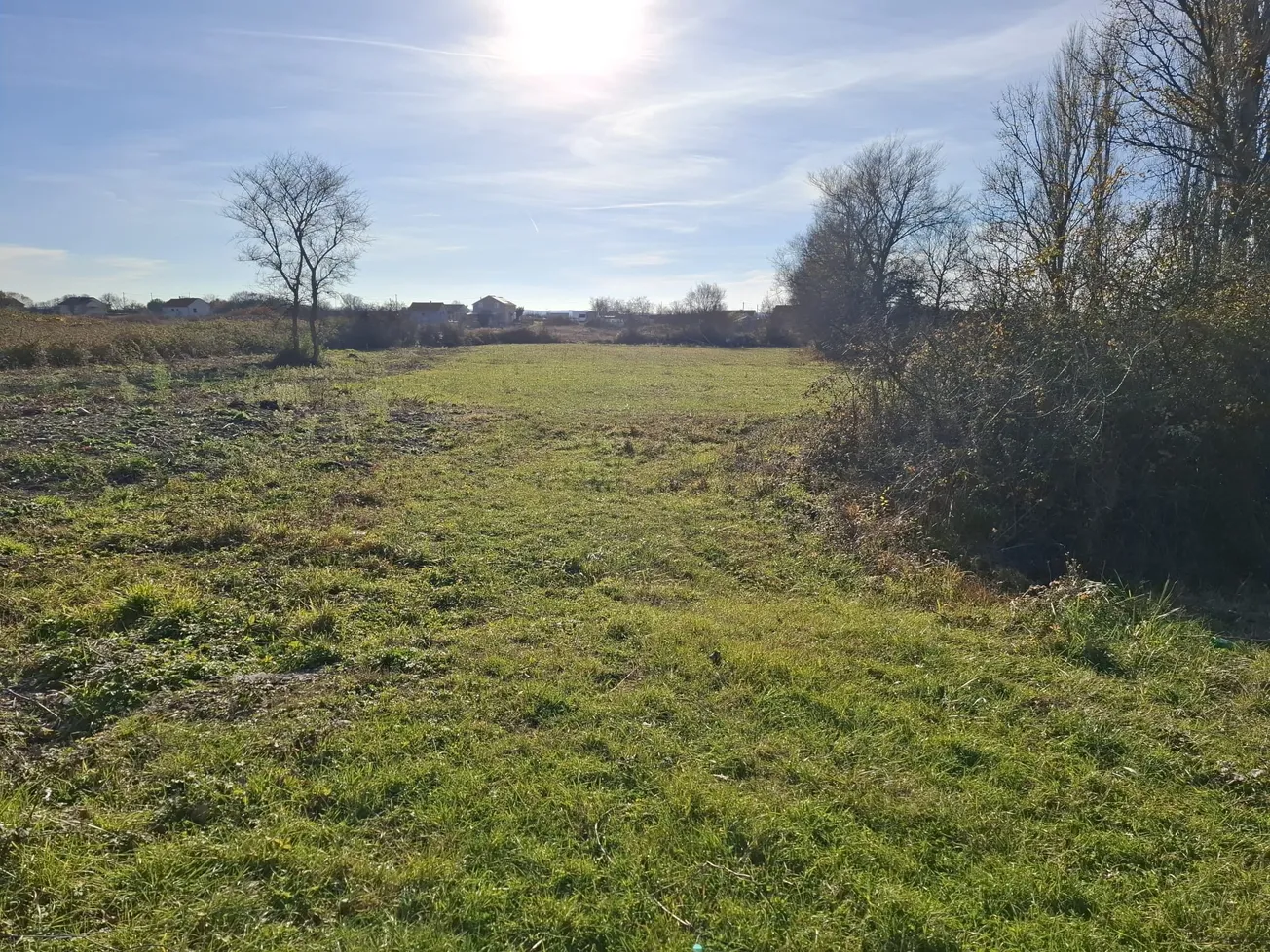 Algoritam izbrisao vlasnike: Šokantna priča iz Smokovića otkriva kaos u sustavu zemljišnih knjiga u Zadarskoj županiji