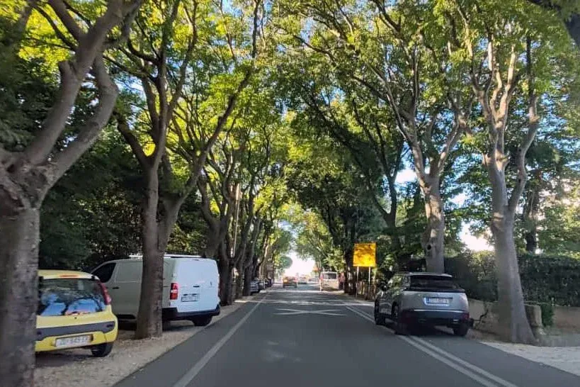 NOVO KOPANJE, STARI KAOS: Tek što su otvorili Trpimirovu, zatvorili Put Dikla! Građani zapadnog Zadra pucaju po šavovima