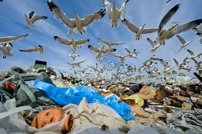 Stipe Surać pobjednik natječaja “Hrvatska novinska fotografija” u kategoriji Priroda i okoliš