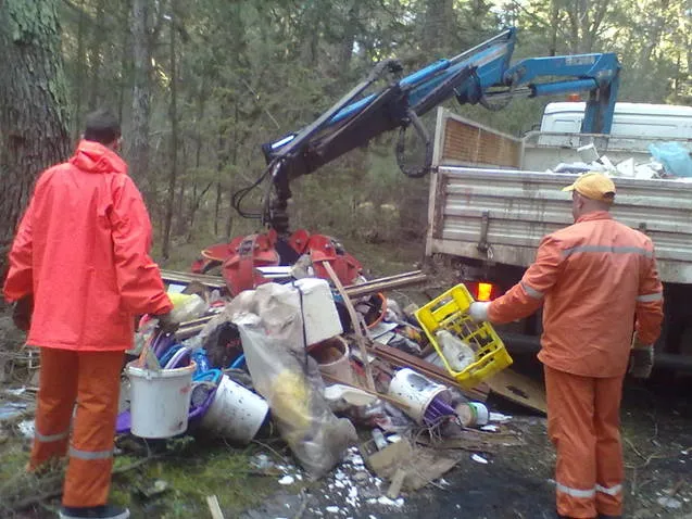 Zelena čistka sa Musapstana