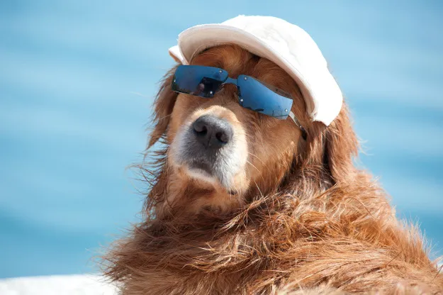 Dalmaciji ovog vikenda prijeti toplotni udar