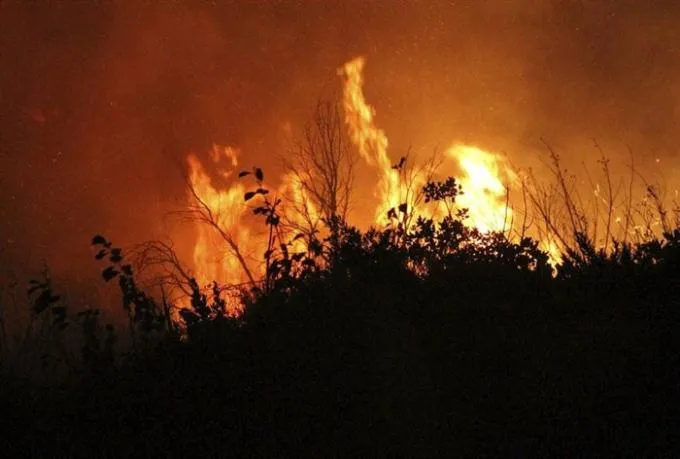 Još gori na minski sumnjivom području kod mjesta Vukšić – Pristega u Zadarskoj županiji