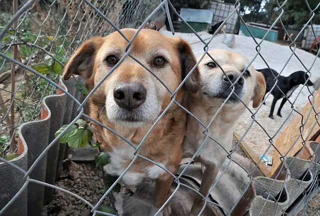 Nema preseljenja bez donacije