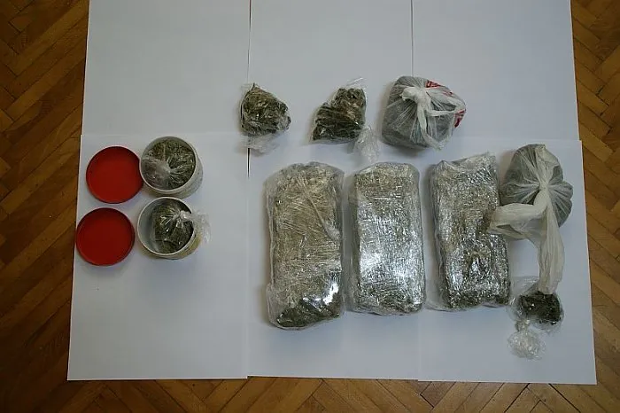 Diler pao sa 100 tisuća kuna vrijednom drogom