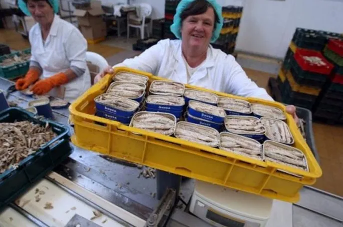 Andronik i Mardešić žele zakupiti Adriu, upravitelj je za gašenje