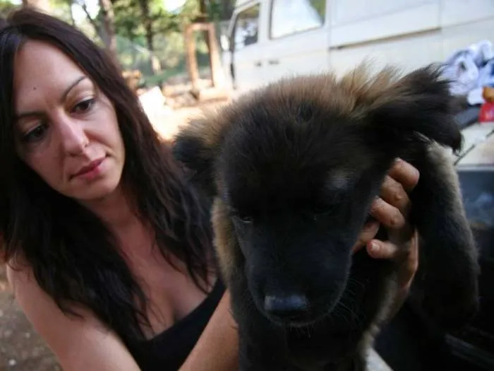 Grad od 2012. ne daje novac za azil, a morali su raskinuti ugovor sa šinterom