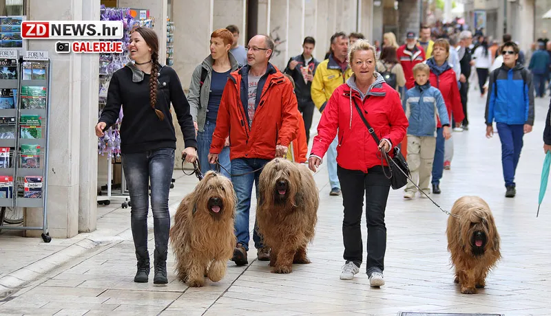 FOTOGALERIJA: Đir po gradu