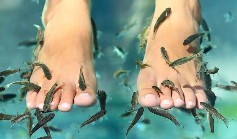 ZANIMLJIVOST U ZADRU Liječenje uz pomoć ribe Garre rufe