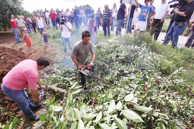 Gordana Dragun: Prekid suradnje sa Maraskom za Škabrnjane bi mogao značiti svijetlu budućnost