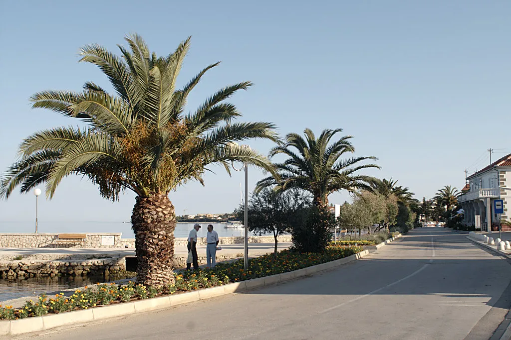 PETRČANCIMA NE SMETA PROMETNI KAOS Ne žele jednosmjernu prometnicu uz obalu