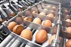 U Zadru postavljen jajomat