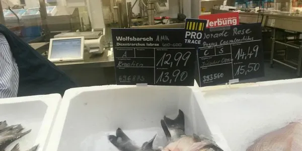 Na njemačkoj “peškariji” riba iz Zadra