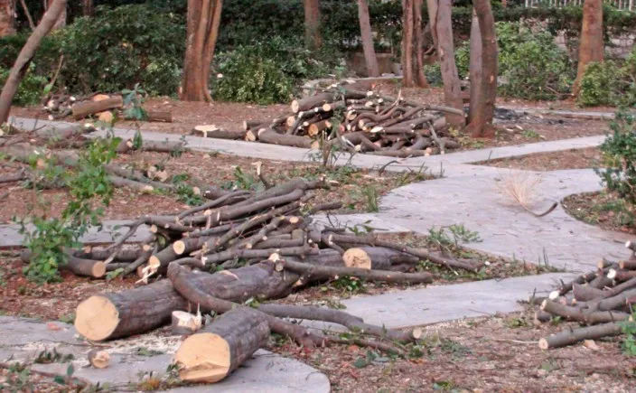 SNAĐI SE ZA OGRIJEV Sjekli drva šumarije, pa završili u policiji