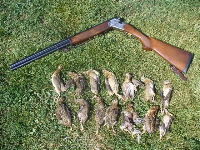 Talijani došli na zadarsko područje kako bi nelegalno lovili