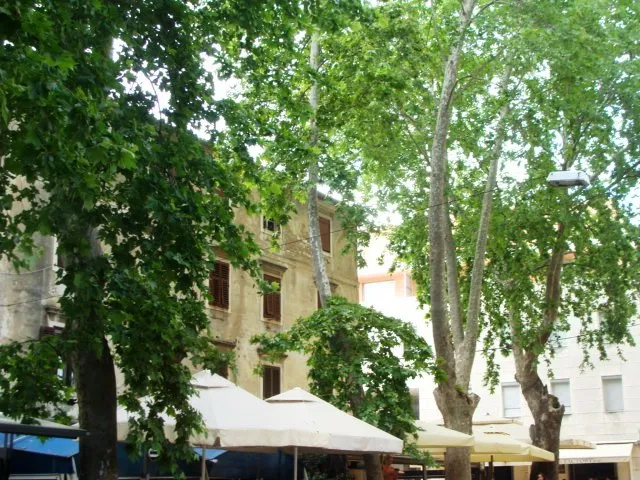 OraH u obranu platana: radije smanjite terase