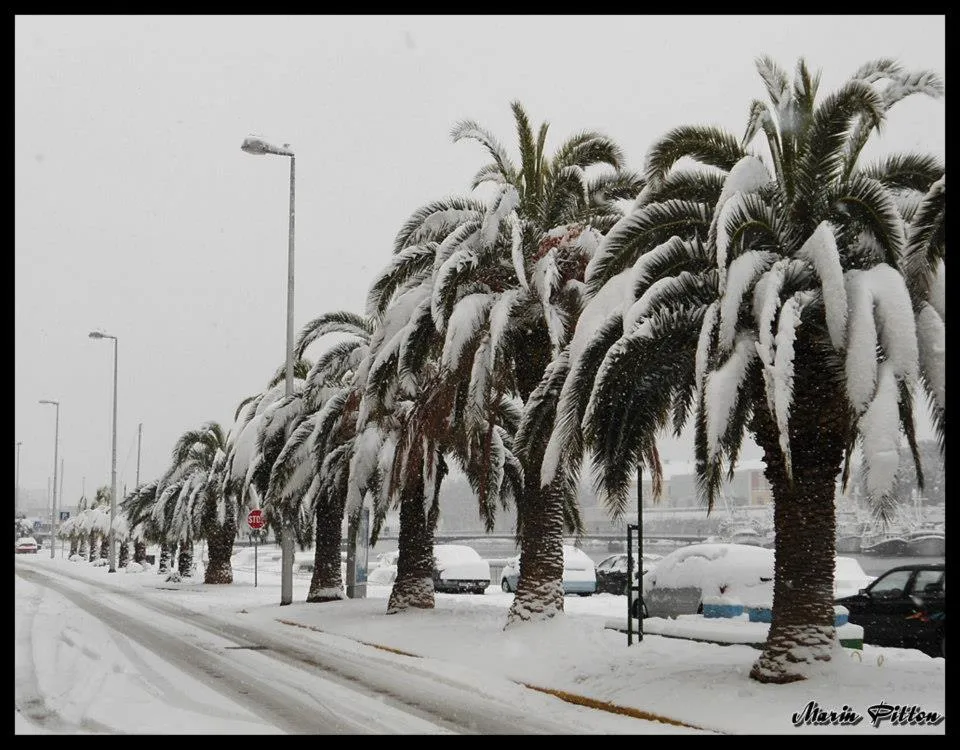 FOTOGALERIJA – U Zadru snijeg već od ponedjeljka?