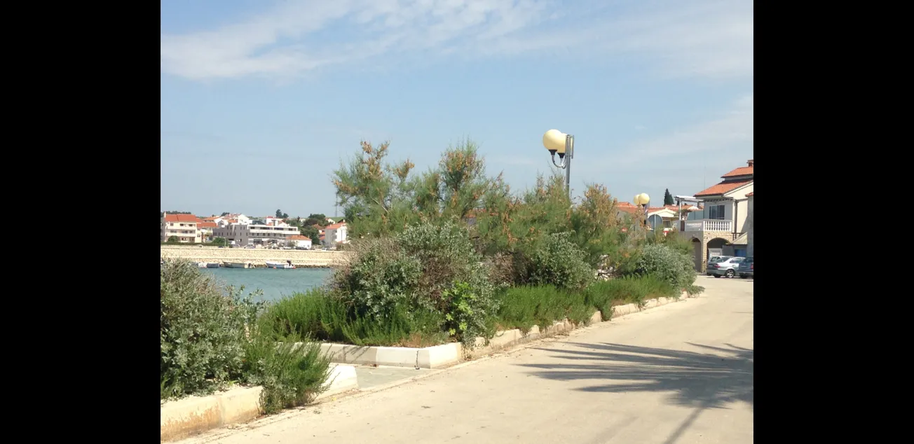 Mjesni odbor Petrčane intenzivno razmišlja o tužbi protiv tvrtke Nasadi d.o.o. zbog nanesene štete mjestu