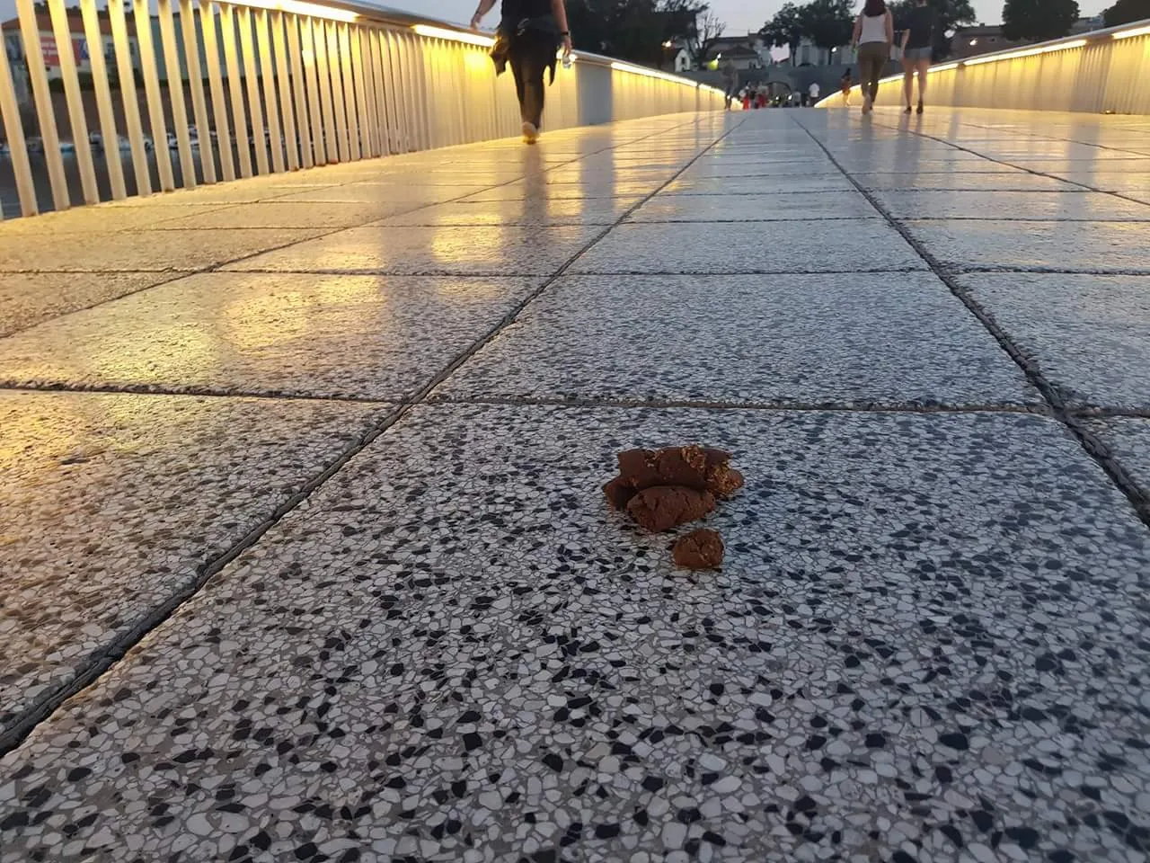 NEKULTURA NA ZADARSKOM MOSTU: Netko za sobom nije pokupio pseći izmet